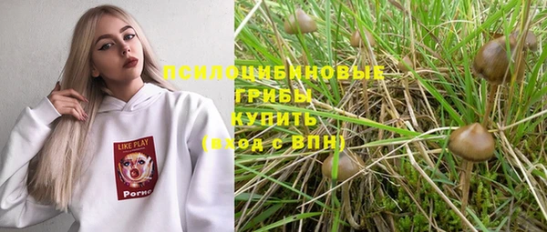 первитин Богородск