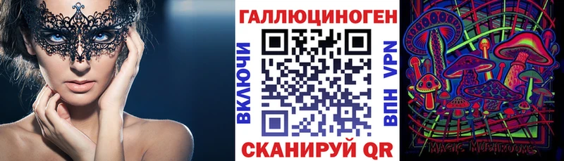 Псилоцибиновые грибы Psilocybine cubensis  Козельск 