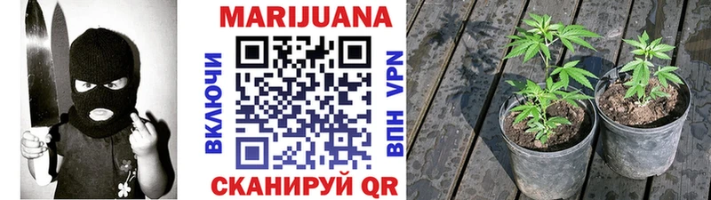 купить  сайты  Козельск  Каннабис Amnesia 